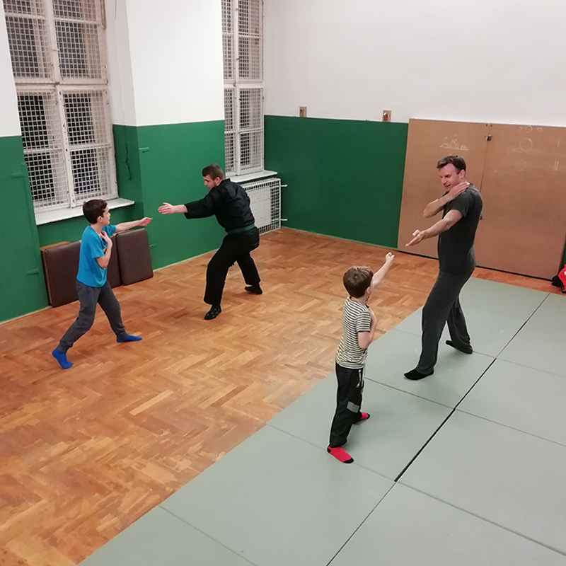 tradícionális ninjutsu