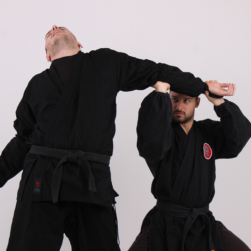 tradícionális ninjutsu